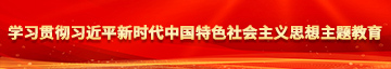 搞鸡白虎嫩逼黄色视频网站学习贯彻习近平新时代中国特色社会主义思想主题教育